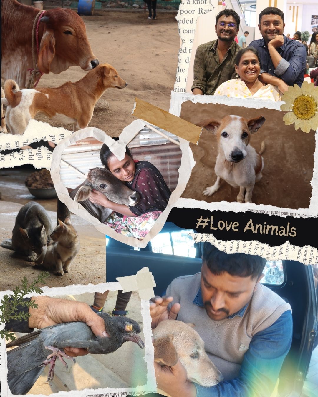 Animal Welfare Image